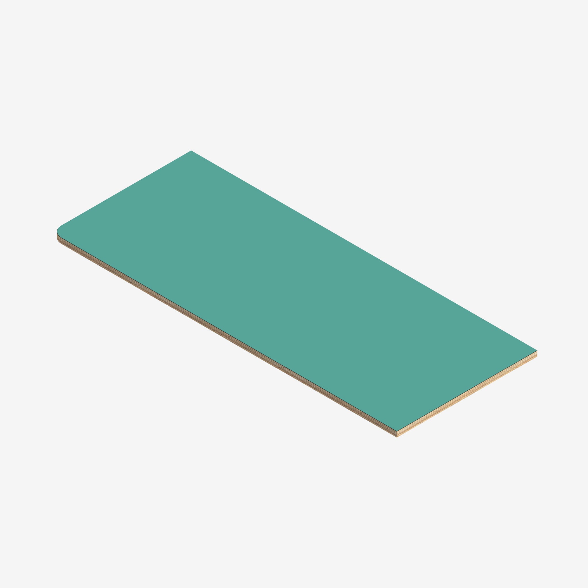 Custom Plywood Worktop in Other