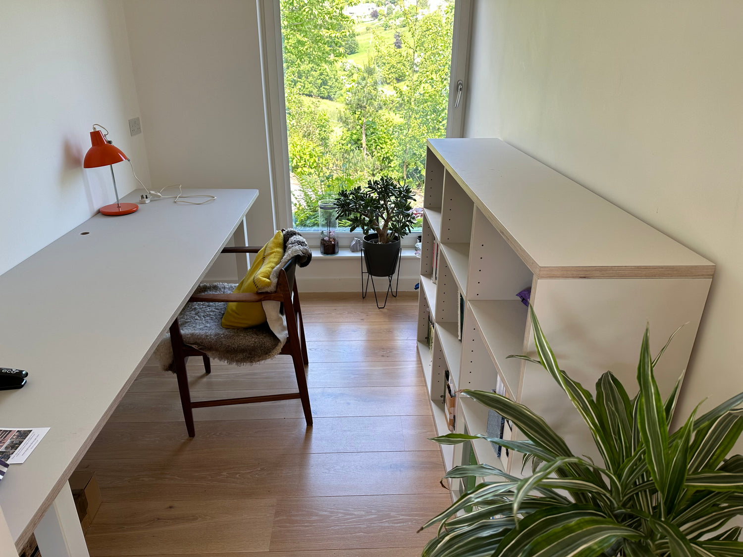 Custom Plywood Bookcase and Custom Plywood Tabletop