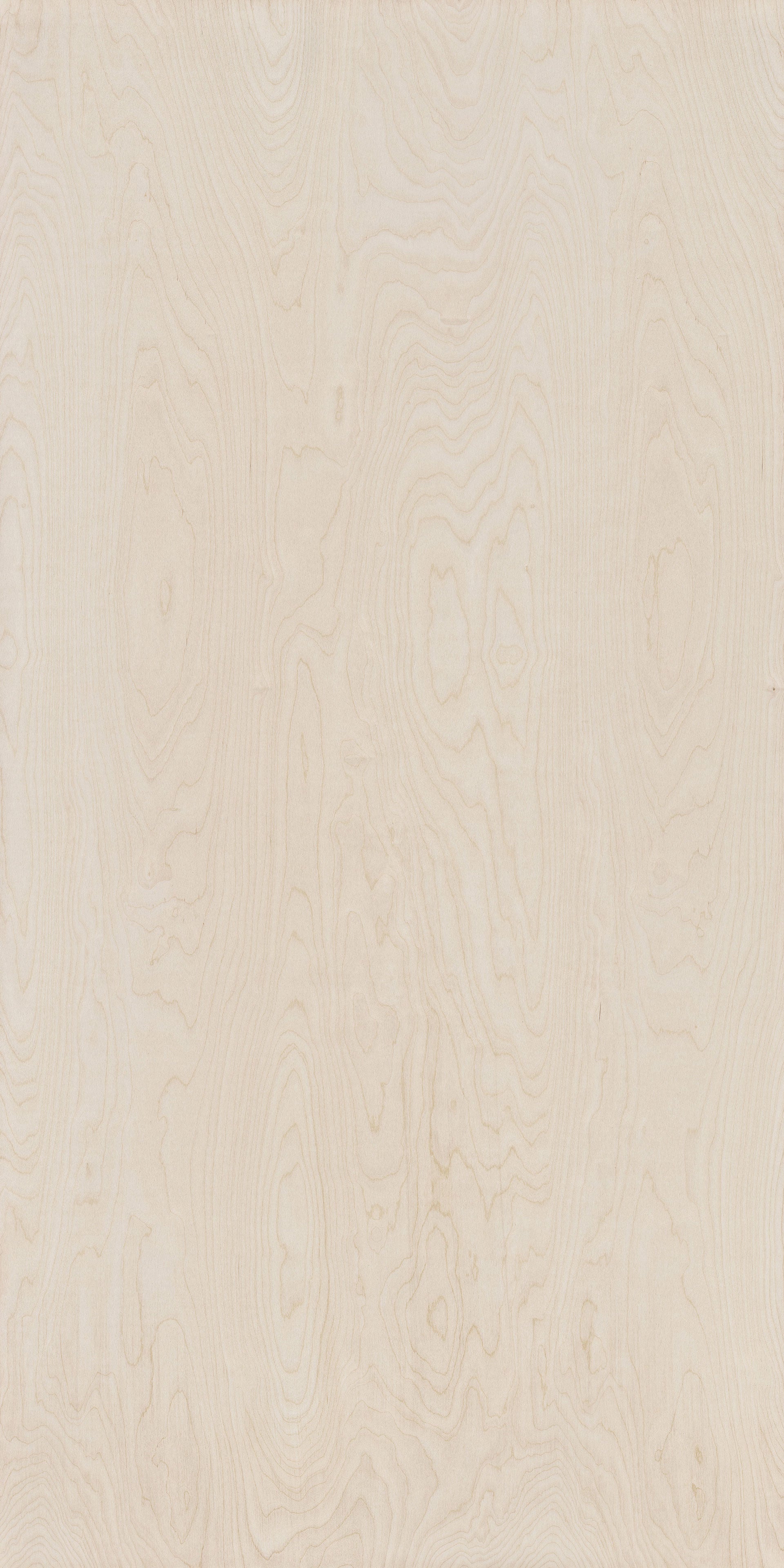 Birch Plywood BB/BB