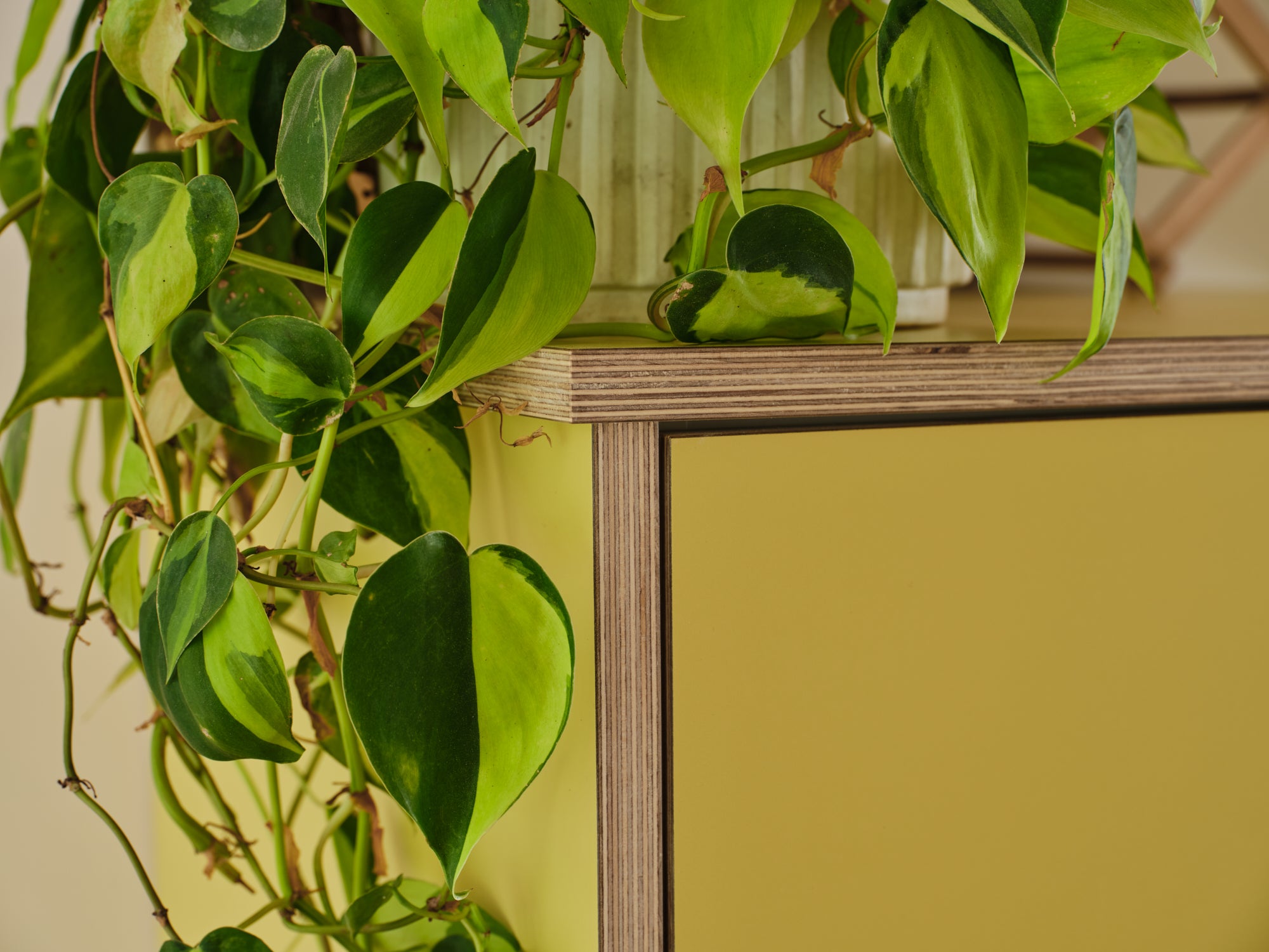 IKEA plywood kitchen fronts yellow gold made in ply