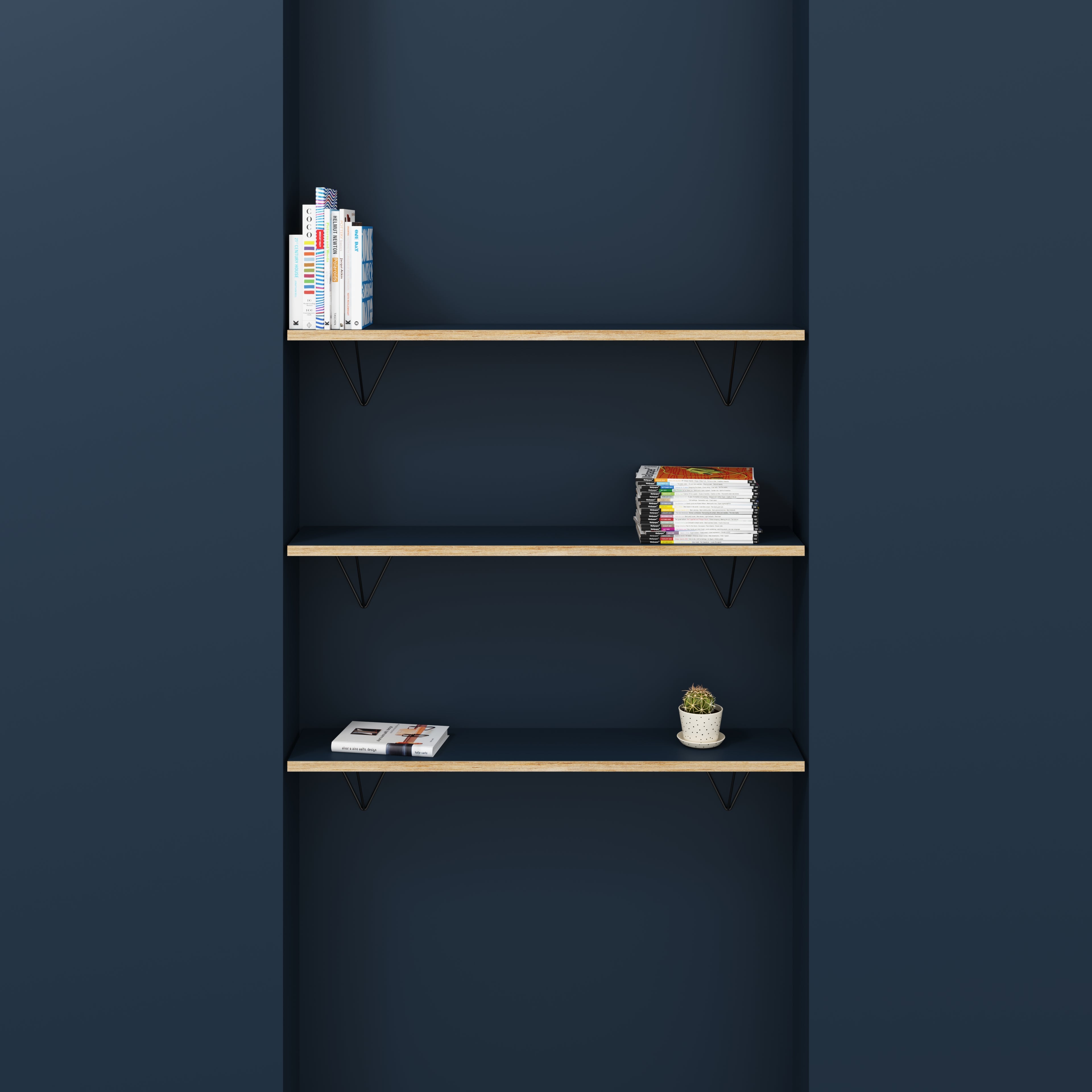 Plywood Wall Shelf with Prism Brackets - Formica Night Sea Blue - 1200(w) x 250(d)