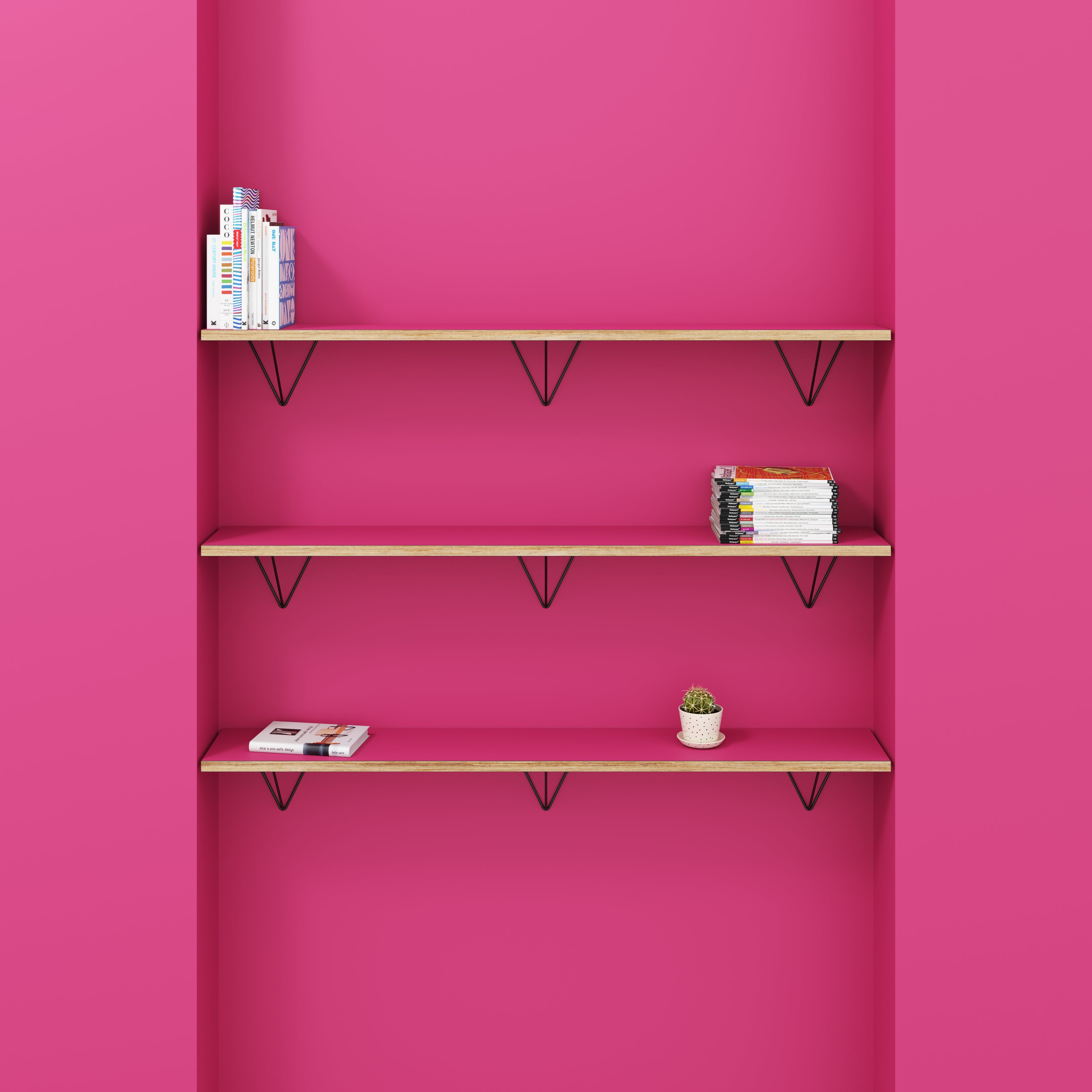 Plywood Wall Shelf with Prism Brackets - Formica Juicy Pink - 1600(w) x 250(d)