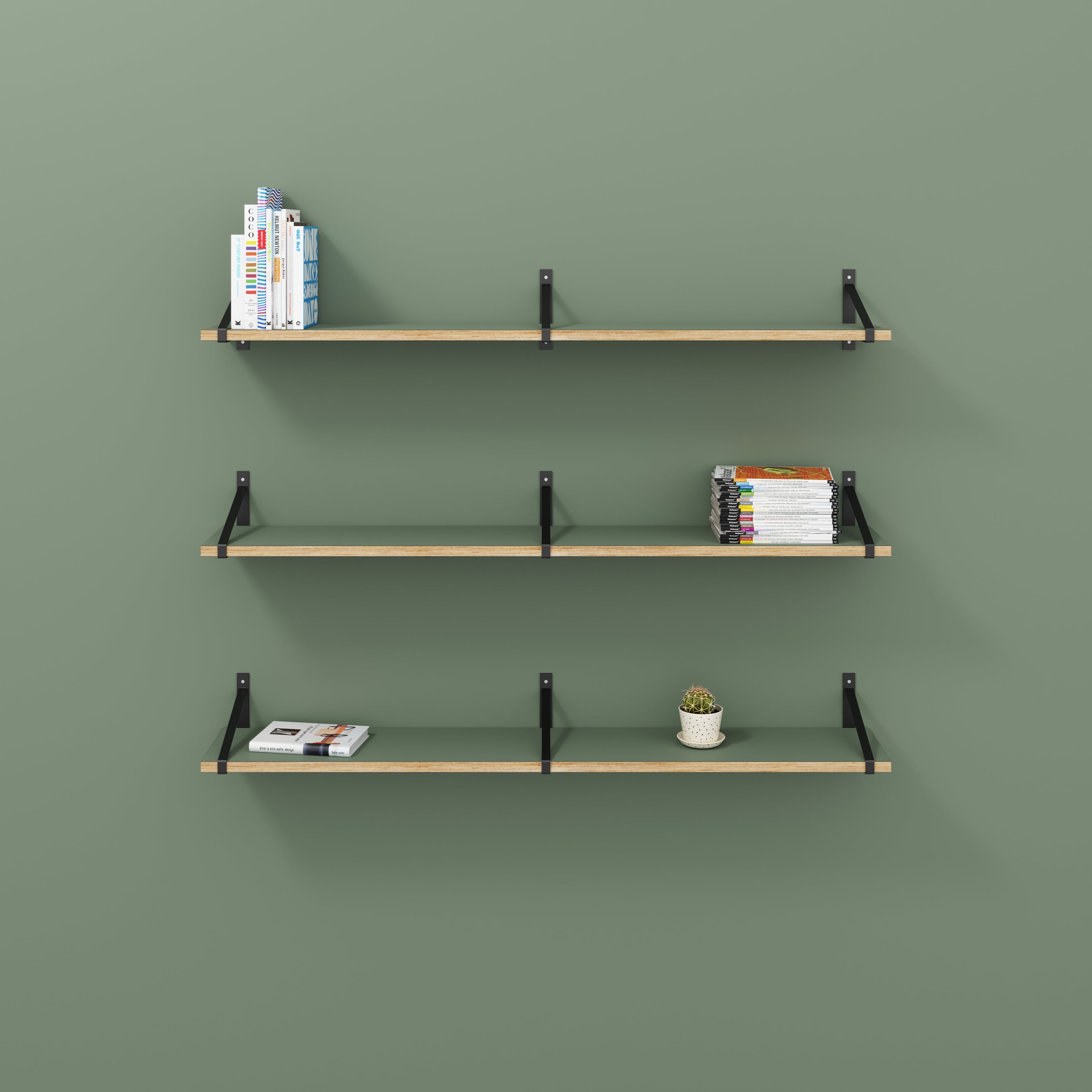 Plywood Wall Shelf with Suspense Brackets - Formica Green Slate - 1600(w) x 260(d)