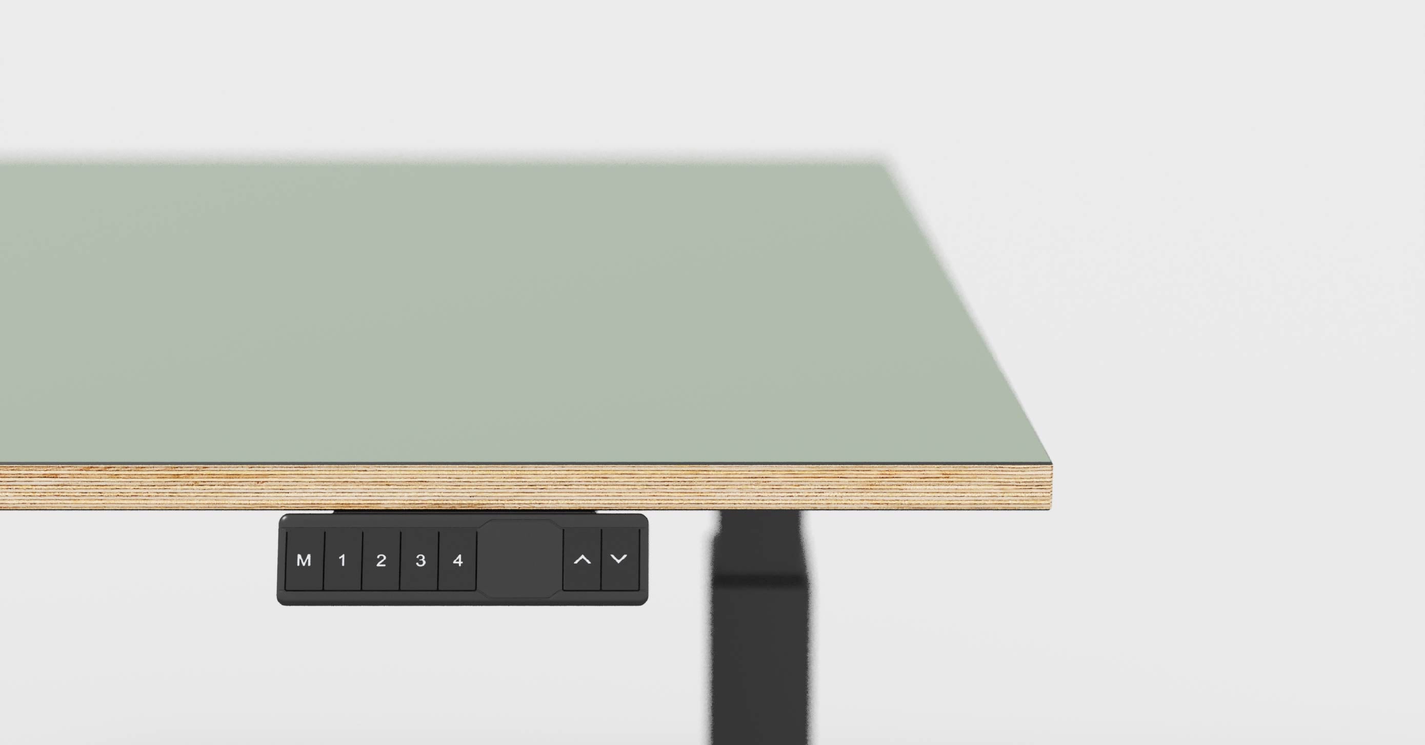 Elevate Your Workday: A Guide to Using the Made in Ply Sit-Stand Desk