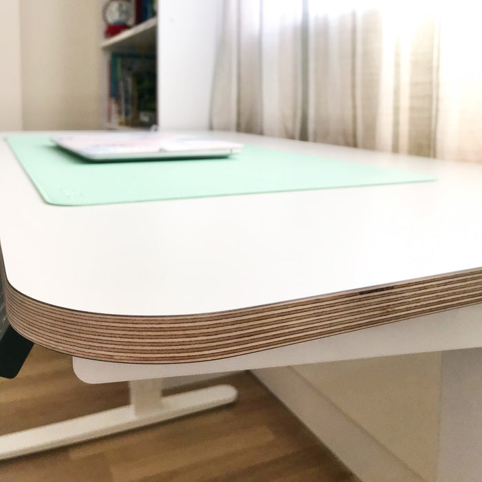 Custom Plywood Desktop