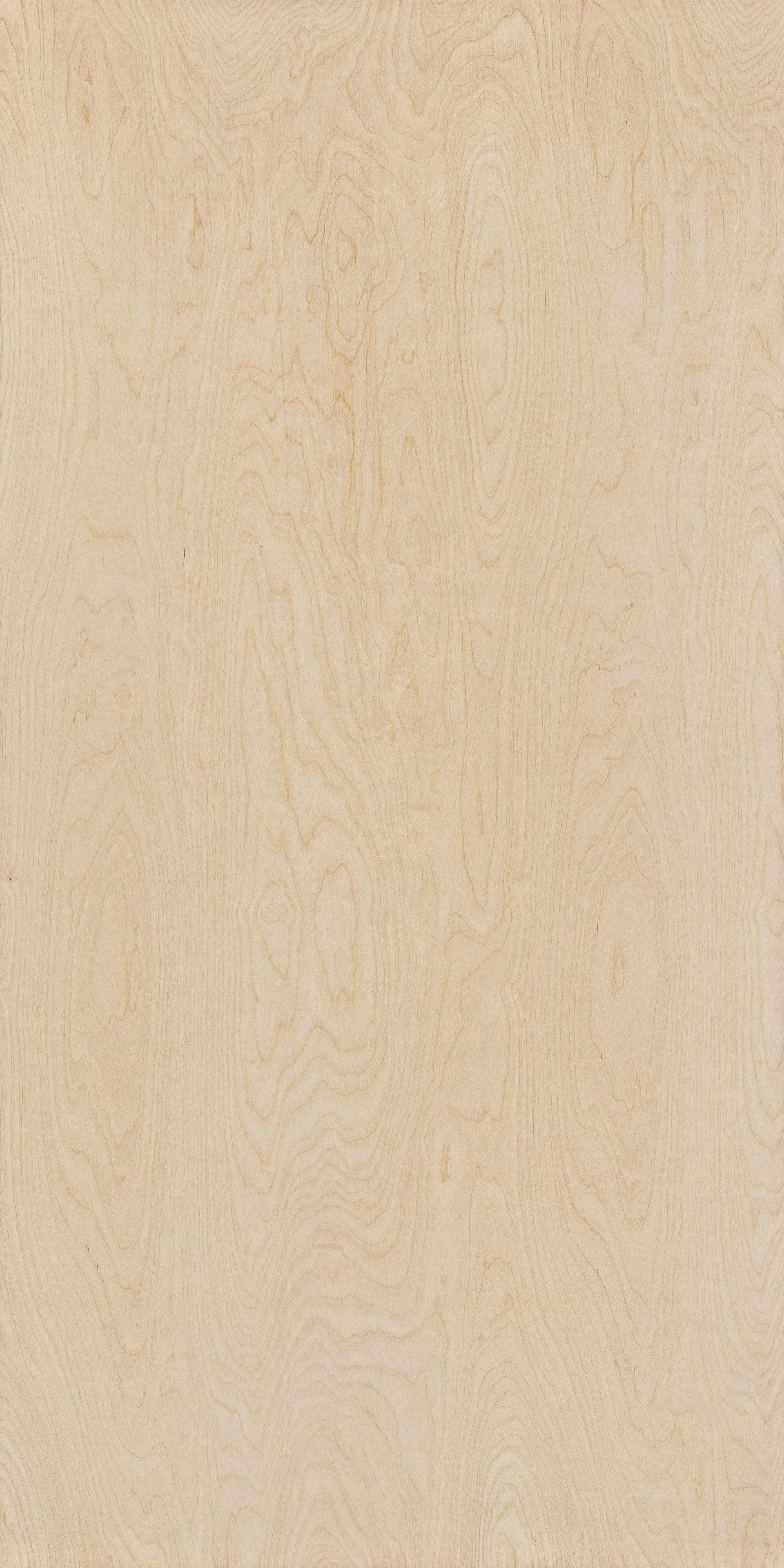 Birch Plywood BB/BB