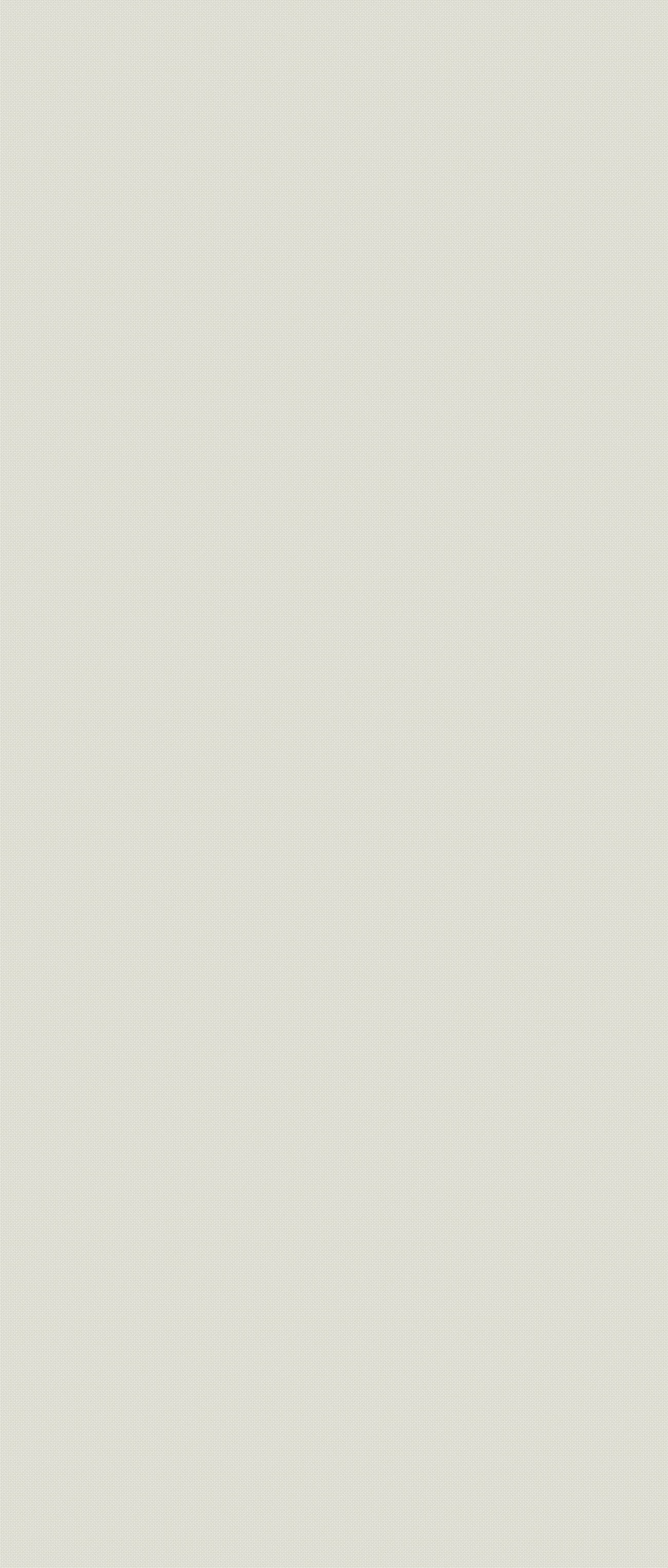 Plywood Shelf - Formica Dogbone White - 800(w) x 250(d) - 24mm