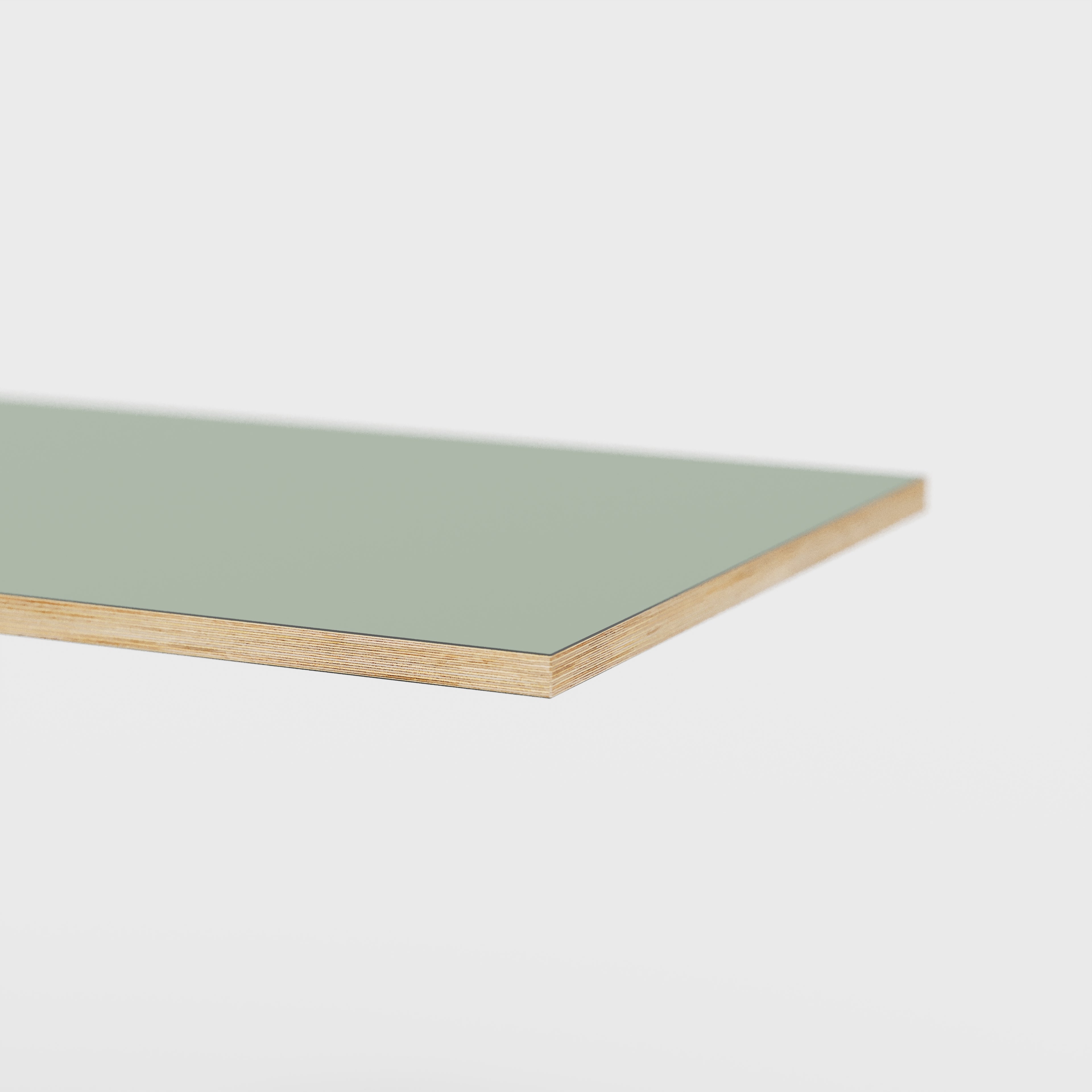 Plywood Tabletop - Formica Green Slate - 1600(w) x 800(d)