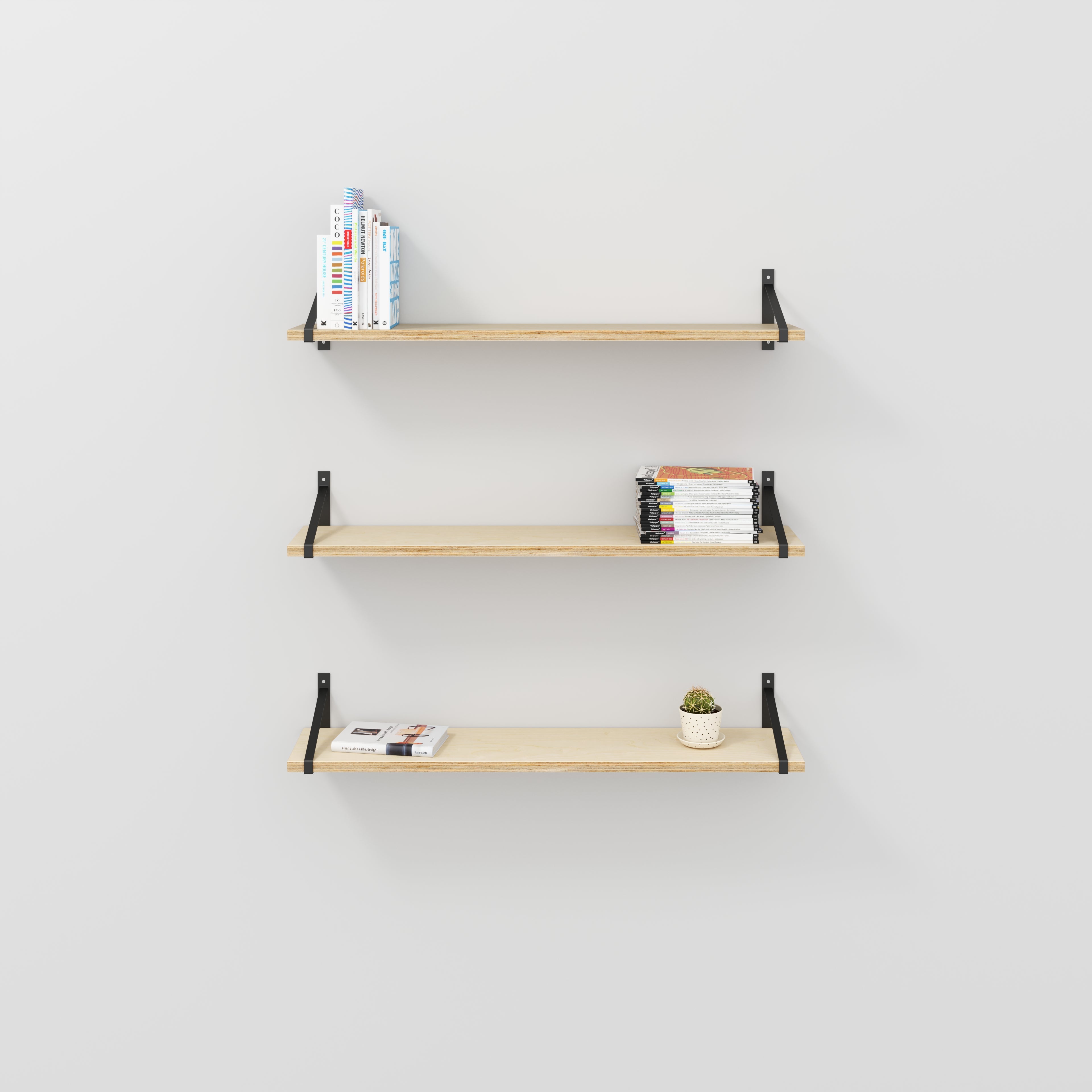 Custom Plywood Wall Shelf with Suspense Brackets