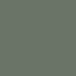 option image