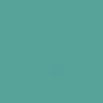 option image