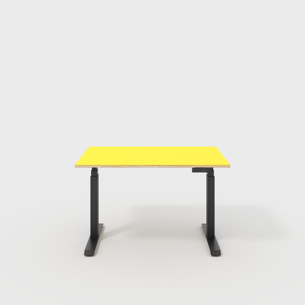 Sit Stand Desks