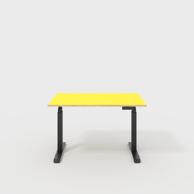 Sit Stand Desks